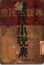 农民小说集   1932  PDF电子版封面    朱云影译 