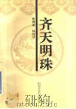 齐天明珠 1994 PDF电子版封面 7532909776 管理成,杨桂欣