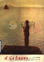 大众日报通讯增刊（1971 PDF版）