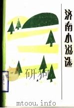 济南小说选（ PDF版）