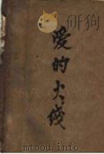 爱的大绵   1929  PDF电子版封面    丁心著 