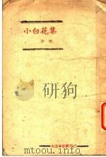 小白花集 PDF电子版封面 许池著