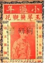 小过年 王翠兰观花 PDF电子版封面