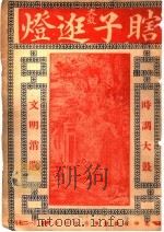 瞎子逛灯 PDF电子版封面