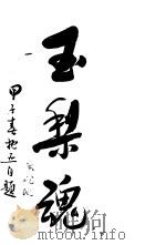 玉梨魂 1929 PDF电子版封面 徐枕亚撰