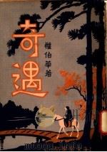 奇遇 第4集 1934 PDF电子版封面 权伯华著