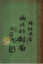 西北的剖面   1932  PDF电子版封面    杨钟健著 