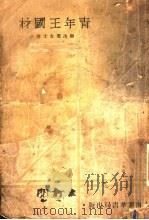 青年王国材 1933 PDF电子版封面