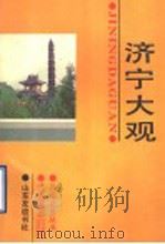 济宁大观 1989 PDF电子版封面 7805510652 徐炳熹主编