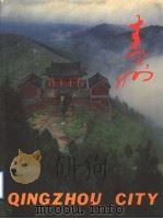 青州画册 PDF电子版封面