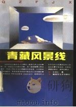青藏风景线 1993 PDF电子版封面 7503303611 王宗仁著