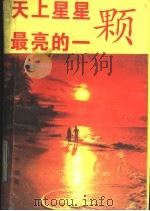 天上星星最亮的一颗   1992  PDF电子版封面  7800745783  张丽著 