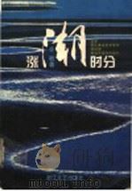 涨潮时分 1997 PDF电子版封面 7533910192 亦秋著