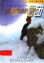 飞来的雪团 1999 PDF电子版封面 7537922640 徐迅