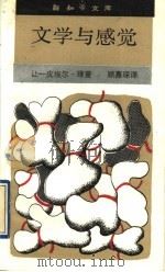文学与感觉 司汤达与福楼拜 1992 PDF电子版封面 7108005425 (法)理 查(Richard,Jean-Pierre)著;顾