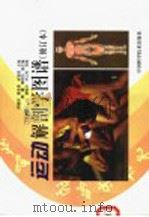 运动解剖学图谱（1999 PDF版）