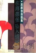 在海德堡坠入情网   1996  PDF电子版封面  7532114708  龙应台著 