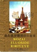 我在俄罗斯的日日夜夜（1995 PDF版）