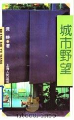 城市野望 1997 PDF电子版封面 7208026394 龚静著