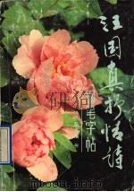 汪国真抒情诗钢笔字帖（1991 PDF版）