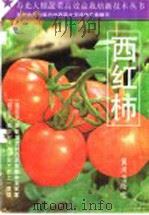 西红柿（1994 PDF版）