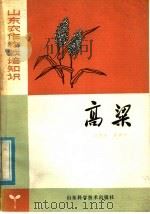 高粱（1978 PDF版）