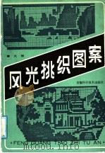 风光挑织图案   1988  PDF电子版封面  7533701063  曾凡恕著 