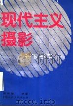 现代主义摄影名家名作   1990  PDF电子版封面  7532207927  周振德编著 