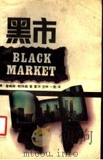 黑市   1988  PDF电子版封面  7536607172  （美）帕特森著；夏华等译 