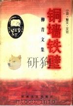 铜墙铁壁 小说·散文·文论 1991 PDF电子版封面 7224041297 柳青著