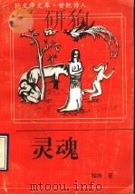 灵魂 1993 PDF电子版封面 7305020311 程尚著