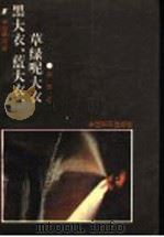 黑大衣蓝大衣草绿呢大衣   1991  PDF电子版封面  7800375145  朱赤著 