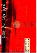 高原之鹰   1991  PDF电子版封面  753290654X  宁汉戈著 