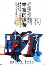 丰富的痛苦 “堂吉诃德”与“哈姆雷特”的东移 1993 PDF电子版封面 7538706305 钱理群著