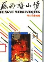 风雨梅山情（1991 PDF版）