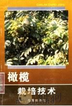 橄榄栽培技术 1996 PDF电子版封面 7508201868 彭成绩等编著