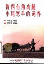 鲁西有角高腿小尾寒羊的饲养（1997 PDF版）