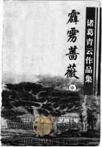 霹雳蔷薇 中 1999 PDF电子版封面 780641200X 诸葛青云著