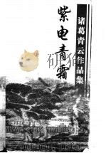 紫电青霜  下   1999.04  PDF电子版封面  7806411968  诸葛青云著 