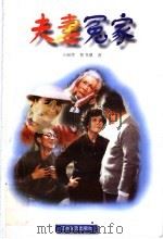 夫妻冤家   1998  PDF电子版封面  7539913797  王丽萍，鲁书潮著 
