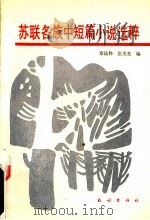 苏联各族中短篇小说选粹   1988  PDF电子版封面  7105002344  章廷桦，张美英编 