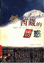 西藏的诱惑   1998  PDF电子版封面  7539617497  孙振华著 
