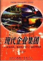 现代企业集团  第2卷（1998 PDF版）