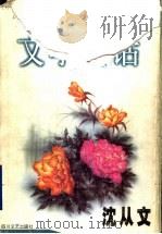 文学闲话   1998  PDF电子版封面  7541114901  沈从文著 