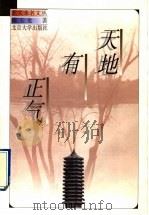 天地有正气 1998 PDF电子版封面 7301036558 陈玉龙著