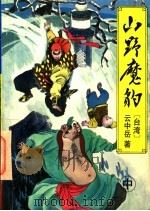 山野魔豹 中 PDF电子版封面 7538706917 (台湾)云中岳著