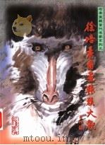 石景宜藏当代名家系列之：徐培晨图书猿猴大观   1999  PDF电子版封面  9621800315  石国基著 