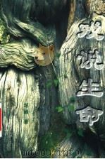 戏说生命   1999  PDF电子版封面  7204048539  超峰著 