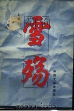 雪殇 1995 PDF电子版封面 7507103110 辛实著