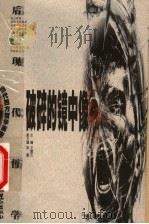 破碎的镜中像：后现代哲学   1999  PDF电子版封面  7806107681  文聘元主编 